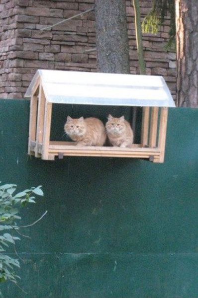 morning picdump 53 pics 20.html - 53 HD Photos | Premium Gallery 2011