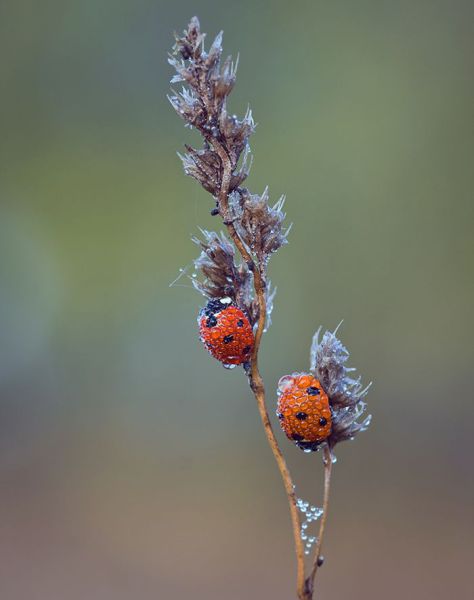 daily picdump 92 pics 45.html - 92 HD Photos | Premium Gallery 2011