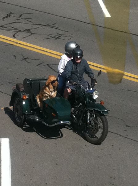 daily picdump 92 pics 45.html - 92 HD Photos | Premium Gallery 2011