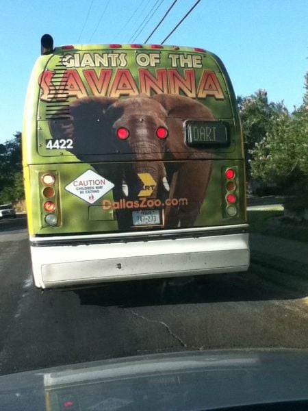 morning picdump 63 pics 10.html - 63 HD Photos | Premium Gallery 2011