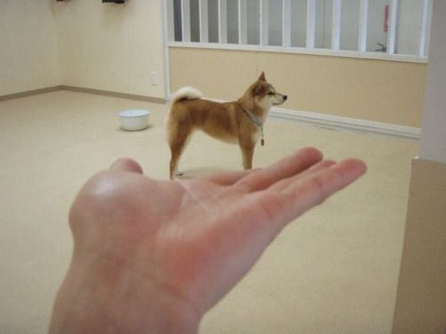 morning picdump 63 pics 10.html - 63 HD Photos | Premium Gallery 2011