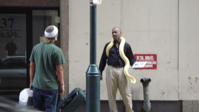 Daily picdump [WEEKEND EDITION]