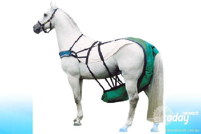 daily picdump weekend edition 78 pics 14.html - 78 HD Photos | Premium Gallery 2011