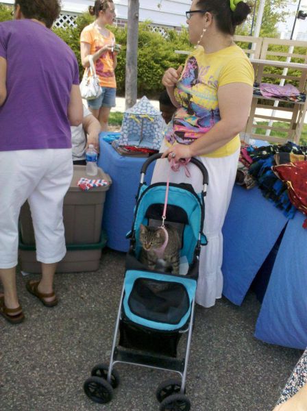 daily picdump weekend edition 78 pics 14.html - 78 HD Photos | Premium Gallery 2011