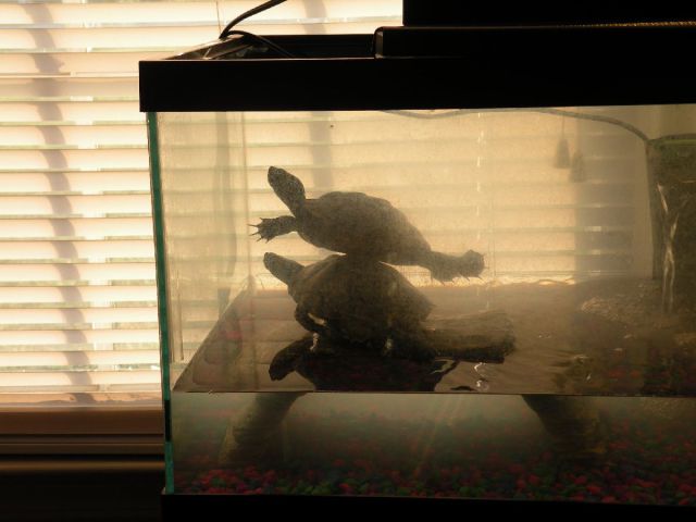 daily picdump weekend edition 78 pics 14.html - 78 HD Photos | Premium Gallery 2011