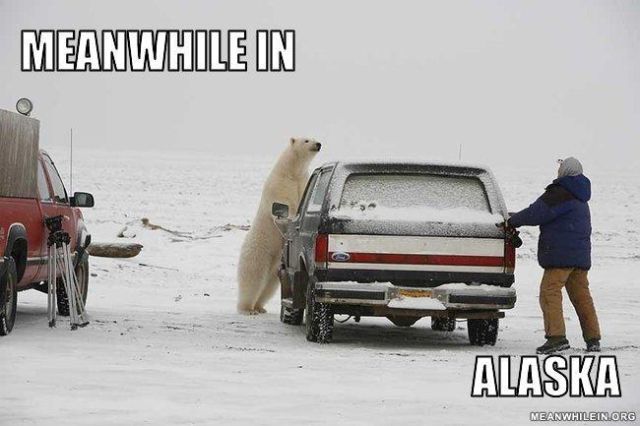 “Meanwhile In” Hilarious Memes