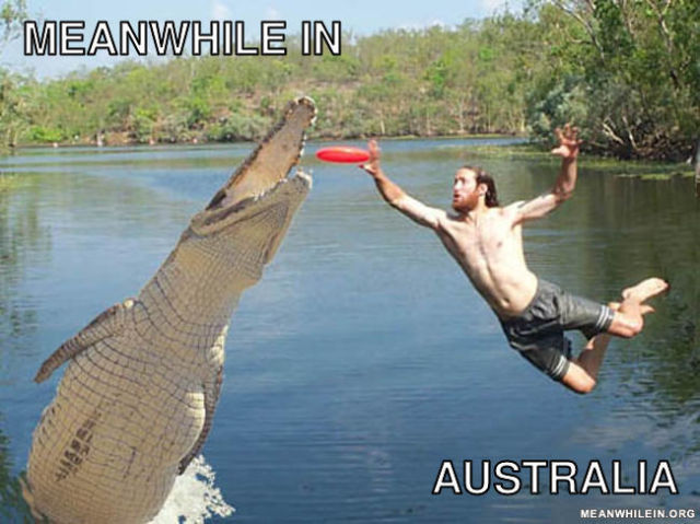 “Meanwhile In” Hilarious Memes