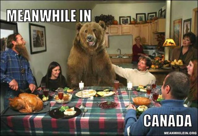 “Meanwhile In” Hilarious Memes