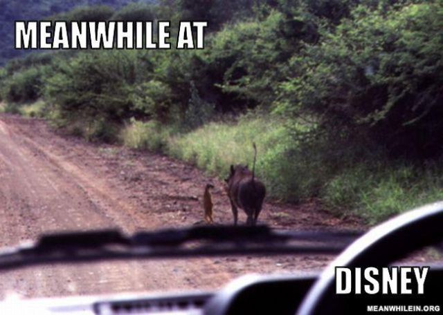 “Meanwhile In” Hilarious Memes