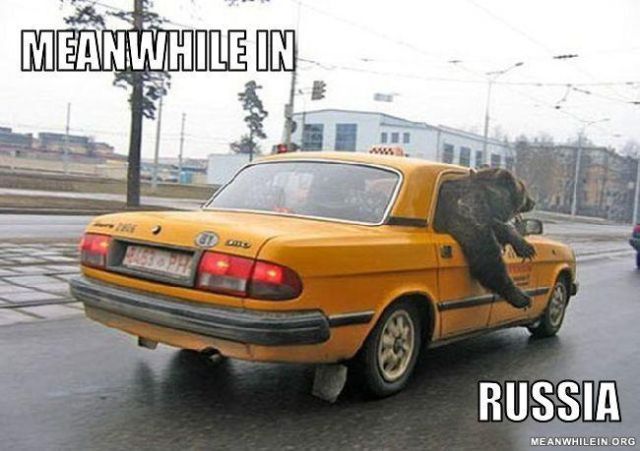 “Meanwhile In” Hilarious Memes