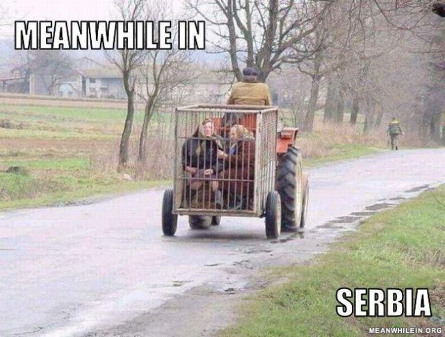 “Meanwhile In” Hilarious Memes