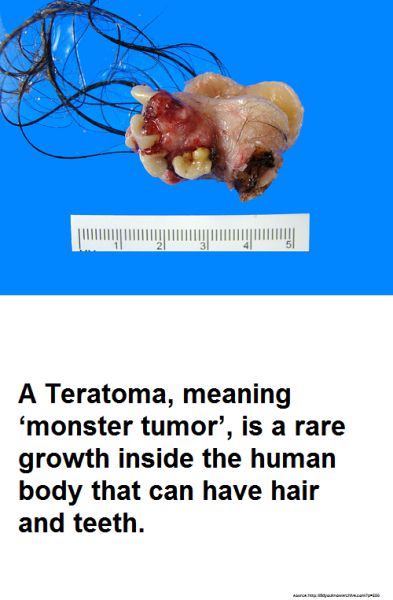 morning picdump 70 pics 17.html - 70 HD Photos | Premium Gallery 2011