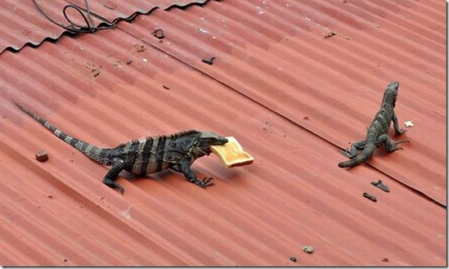 morning picdump 70 pics 17.html - 70 HD Photos | Premium Gallery 2011