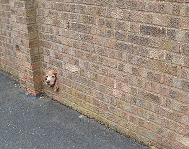 morning picdump 70 pics 17.html - 70 HD Photos | Premium Gallery 2011