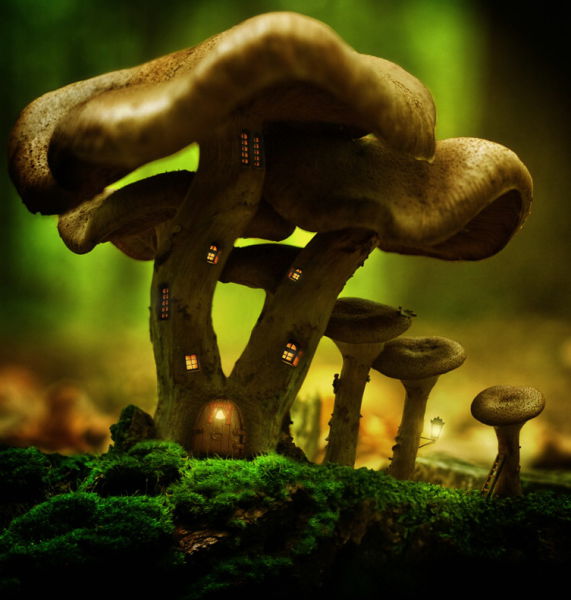 morning picdump 70 pics 17.html - 70 HD Photos | Premium Gallery 2011