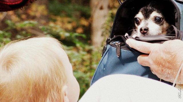 morning picdump 70 pics 17.html - 70 HD Photos | Premium Gallery 2011