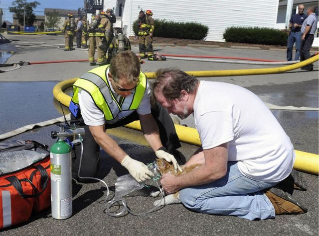 morning picdump 70 pics 17.html - 70 HD Photos | Premium Gallery 2011