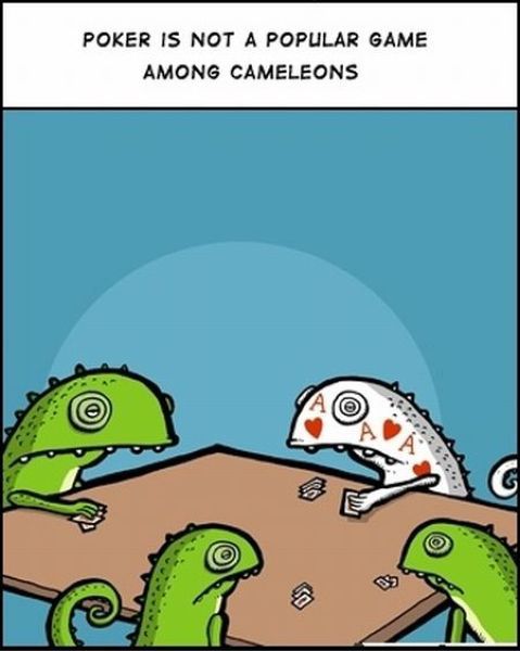 morning picdump 72 pics 14.html - 72 HD Photos | Premium Gallery 2011