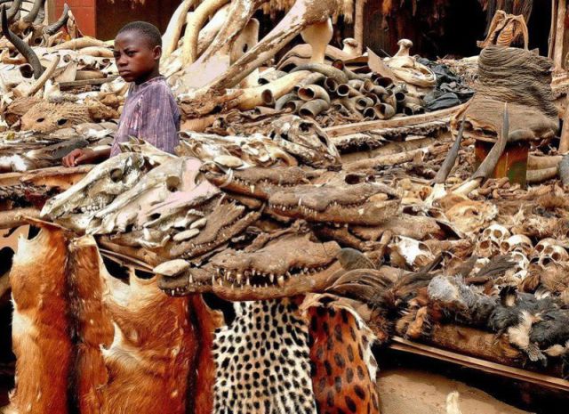 morning picdump 72 pics 14.html - 72 HD Photos | Premium Gallery 2011