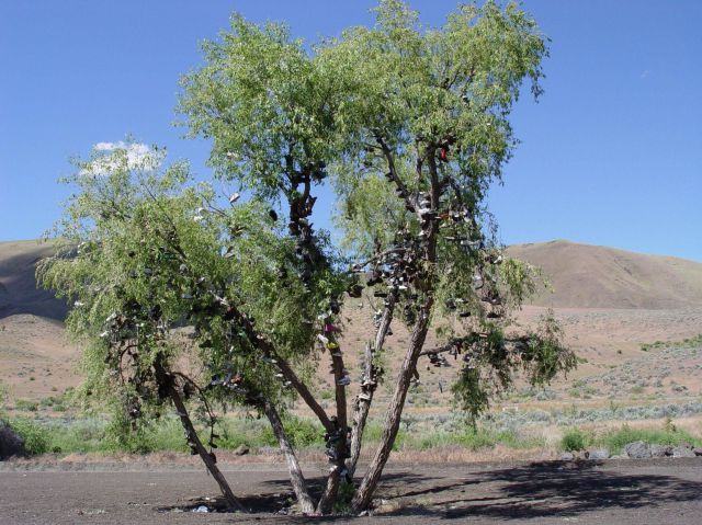 morning picdump 72 pics 14.html - 72 HD Photos | Premium Gallery 2011