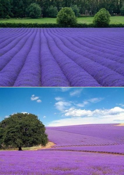 morning picdump 55 pics 21.html - 55 HD Photos | Premium Gallery 2011