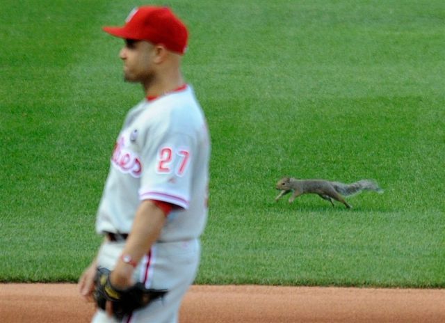 morning picdump 55 pics 21.html - 55 HD Photos | Premium Gallery 2011