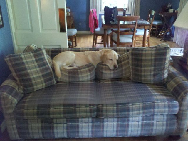 morning picdump 55 pics 21.html - 55 HD Photos | Premium Gallery 2011