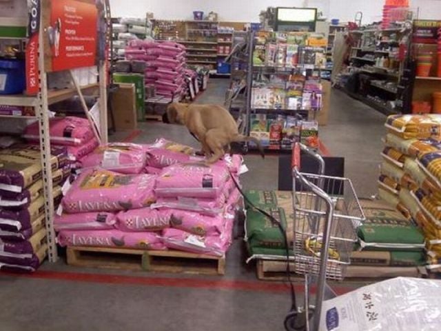 morning picdump 69 pics 8.html - 69 HD Photos | Premium Gallery 2011