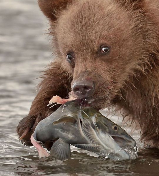 morning picdump 69 pics 8.html - 69 HD Photos | Premium Gallery 2011