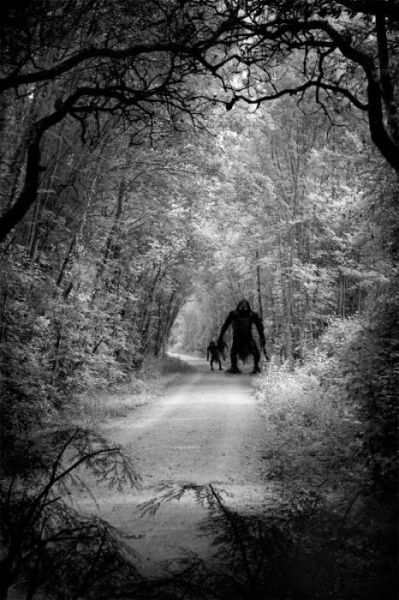 morning picdump 63 pics 15.html - 63 HD Photos | Premium Gallery 2011