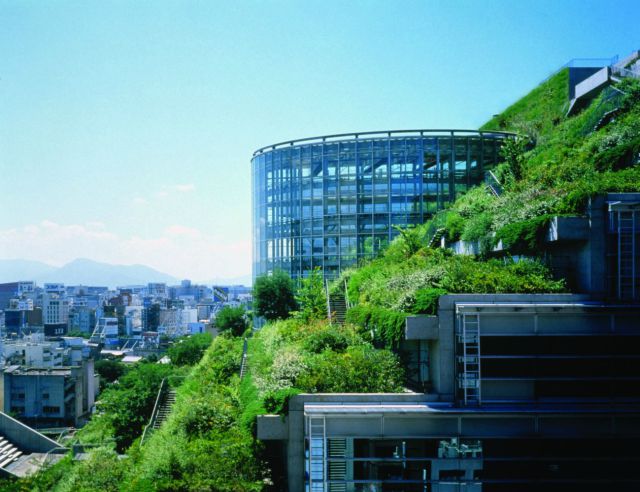 morning picdump 63 pics 15.html - 63 HD Photos | Premium Gallery 2011