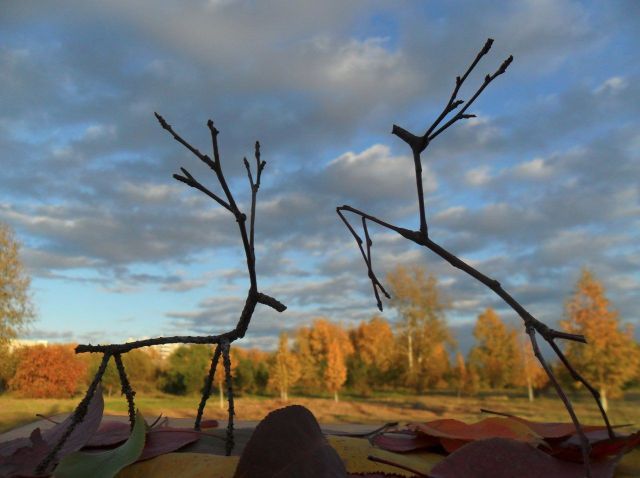 morning picdump 65 pics 14.html - 65 HD Photos | Premium Gallery 2011