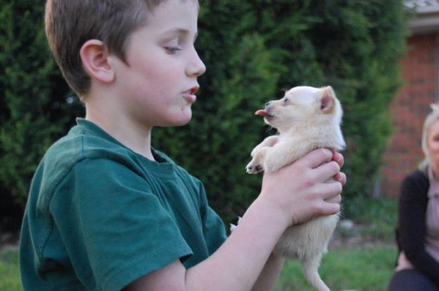 daily picdump 86 pics 38.html - 86 HD Photos | Premium Gallery 2011