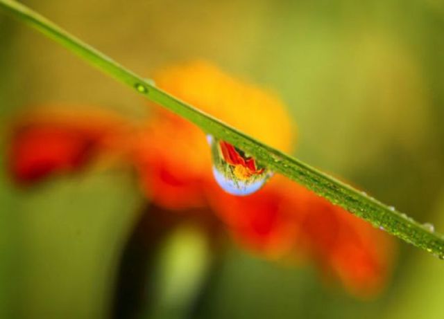 morning picdump 68 pics 6.html - 68 HD Photos | Premium Gallery 2011