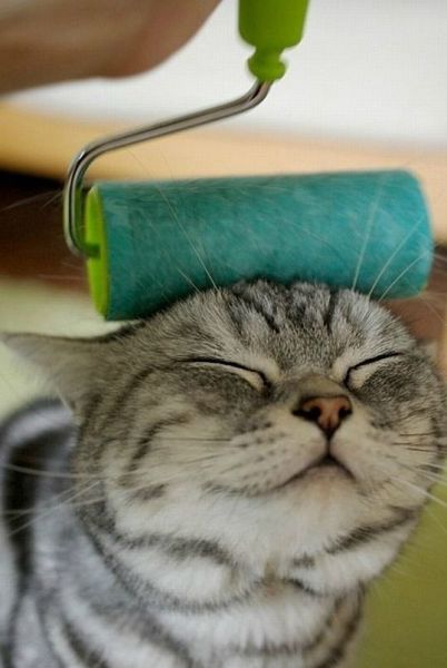 Daily picdump [WEEKEND EDITION]