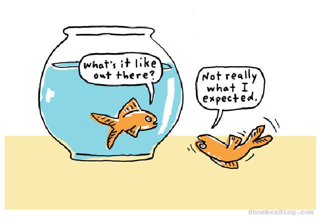 daily picdump weekend edition 80 pics 17.html - 80 HD Photos | Premium Gallery 2011