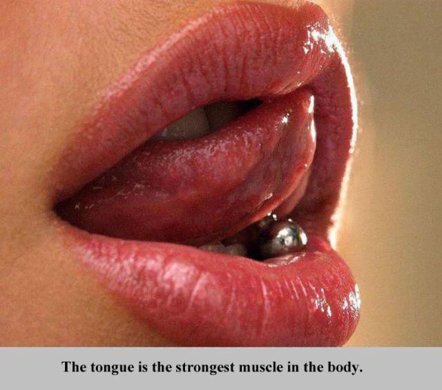 Interesting Facts about Everything