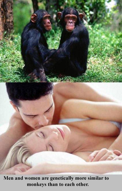 Interesting Facts about Everything