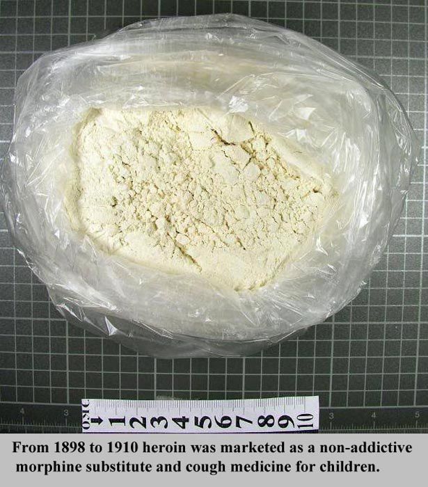 Interesting Facts about Everything