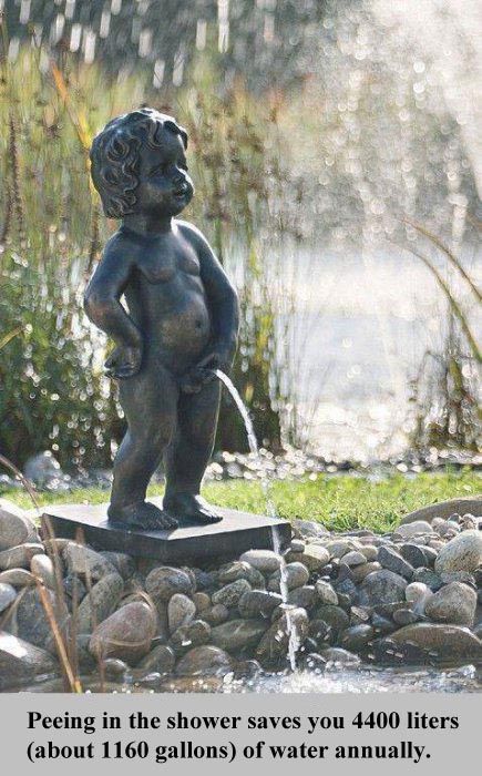 Interesting Facts about Everything