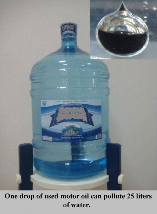 Interesting Facts about Everything