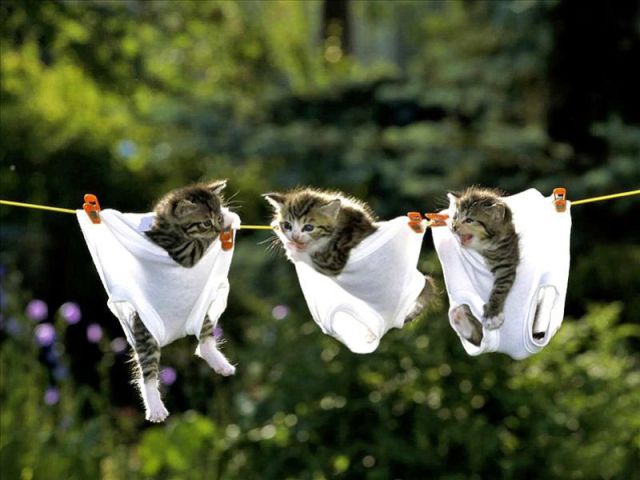 morning picdump 64 pics 14.html - 64 HD Photos | Premium Gallery 2011