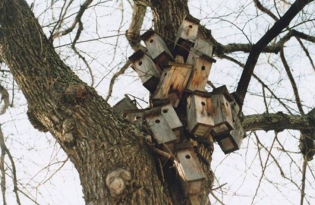 morning picdump 64 pics 14.html - 64 HD Photos | Premium Gallery 2011