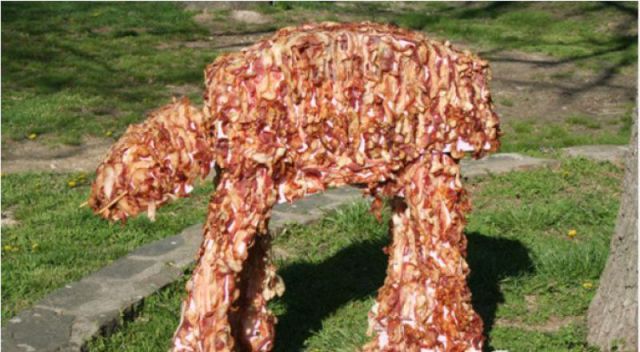 morning picdump 64 pics 14.html - 64 HD Photos | Premium Gallery 2011