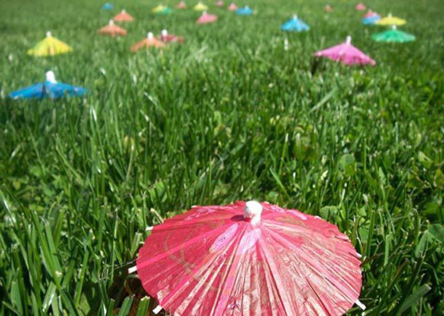 Photo Remakes of Famous Paintings