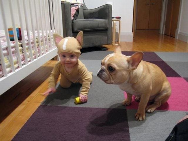 morning picdump 57 pics 17.html - 57 HD Photos | Premium Gallery 2011