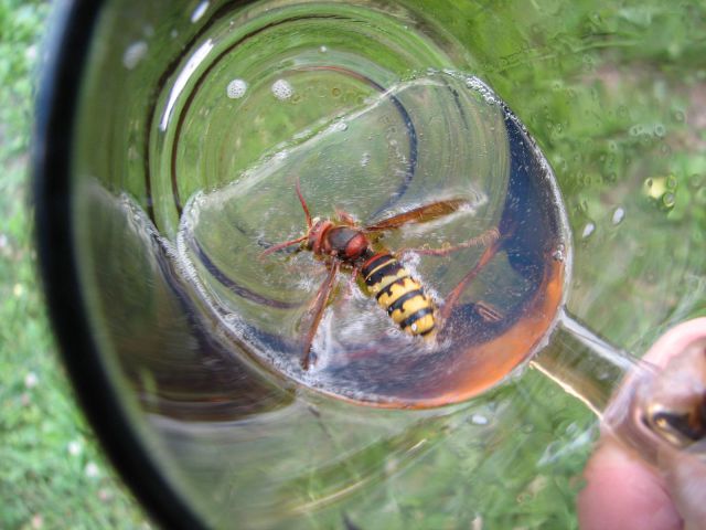 morning picdump 59 pics 24.html - 59 HD Photos | Premium Gallery 2011