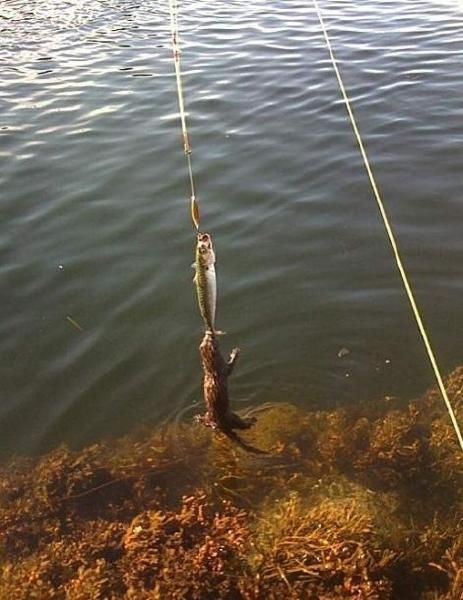 morning picdump 62 pics 23.html - 62 HD Photos | Premium Gallery 2011