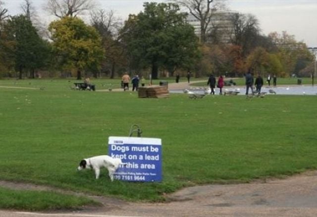 morning picdump 63 pics 18.html - 63 HD Photos | Premium Gallery 2011