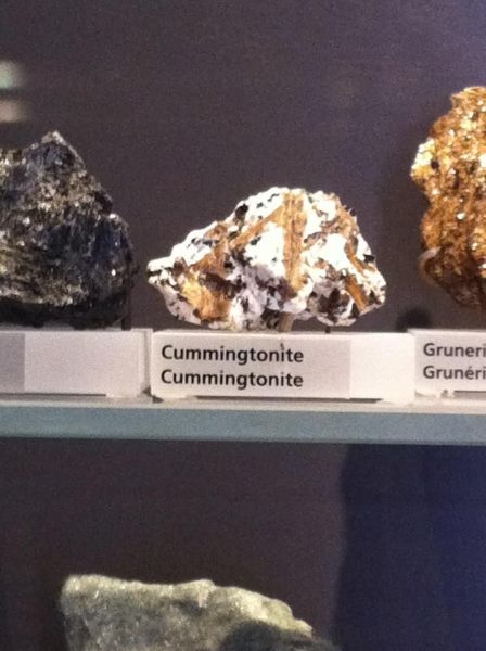 morning picdump 58 pics 8.html - 58 HD Photos | Premium Gallery 2011